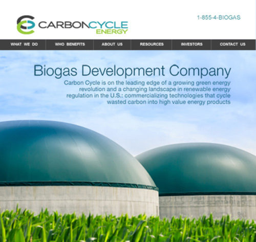 Carbon Cycle website