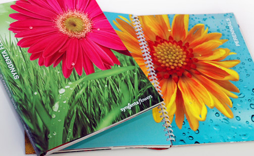 Syngenta flowers books